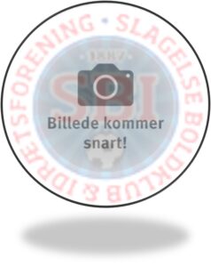 billede på vej1